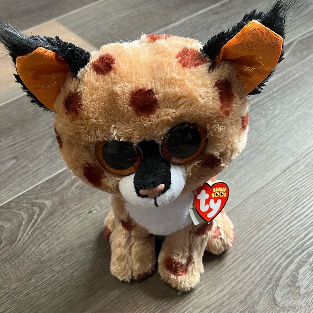 Beanie Boo’s Collection - Buckwheat